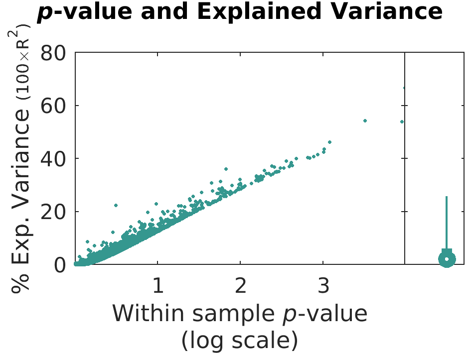 logpValue Variance by brainFeature