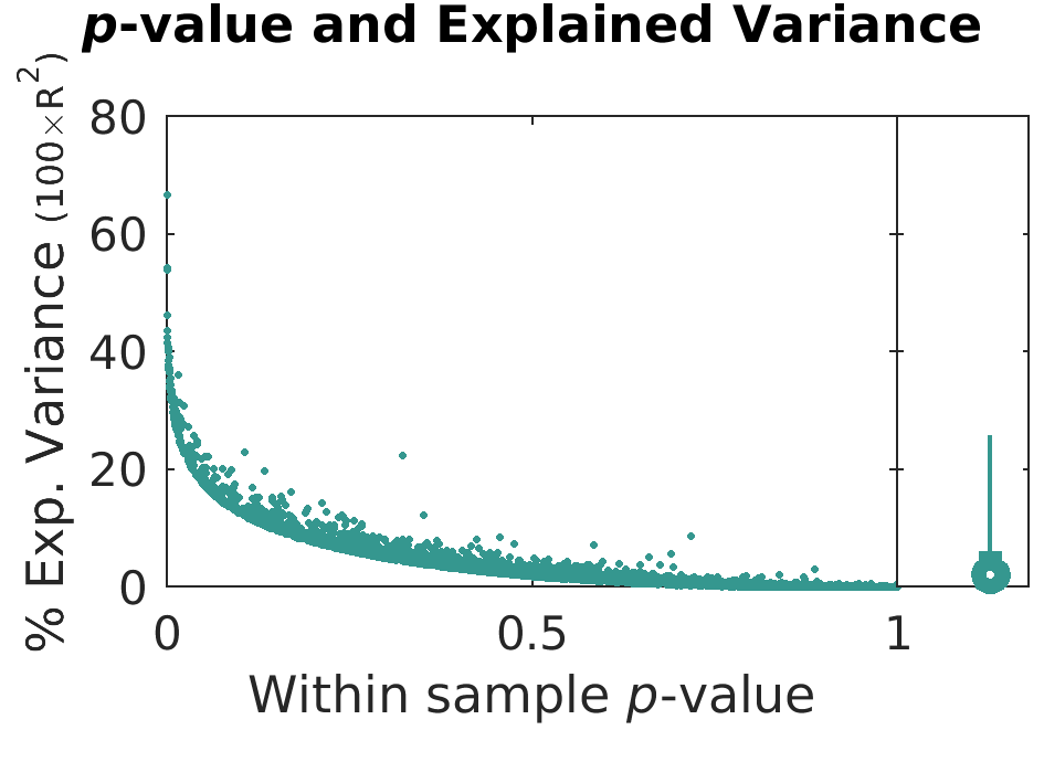 pValue Variance by brainFeature