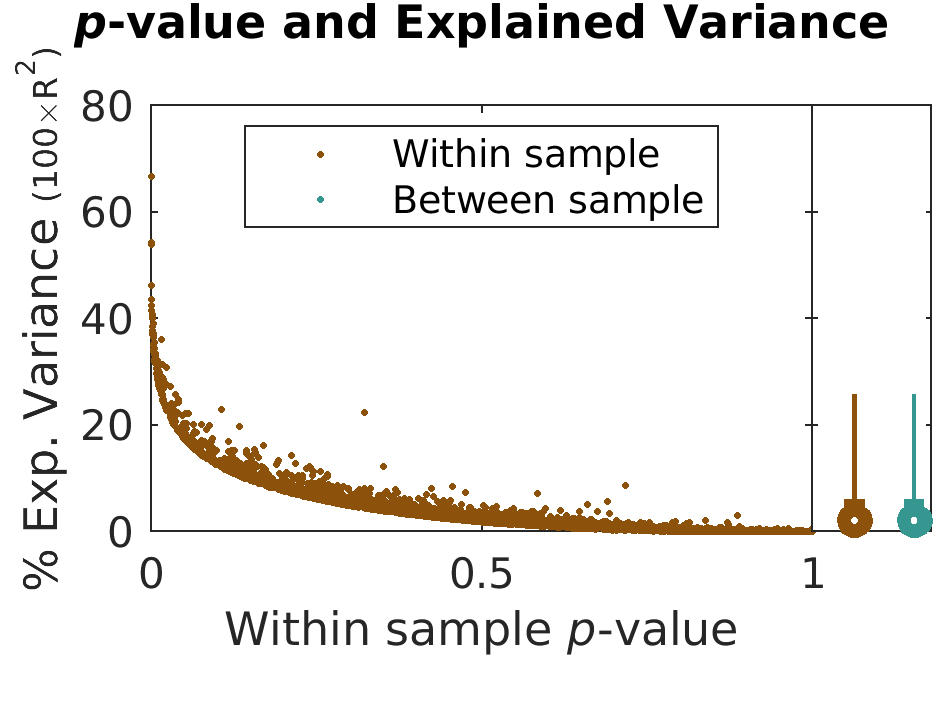 pValue Variance by brainFeature