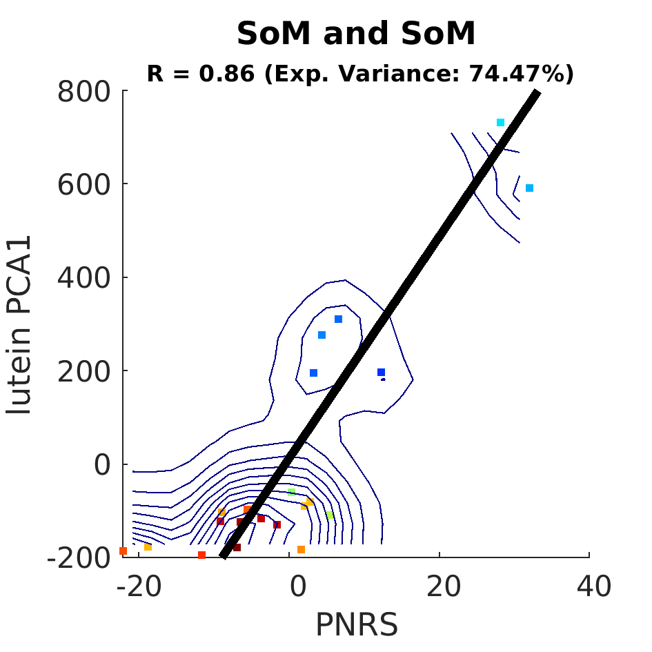 dscatter SoM and SoM