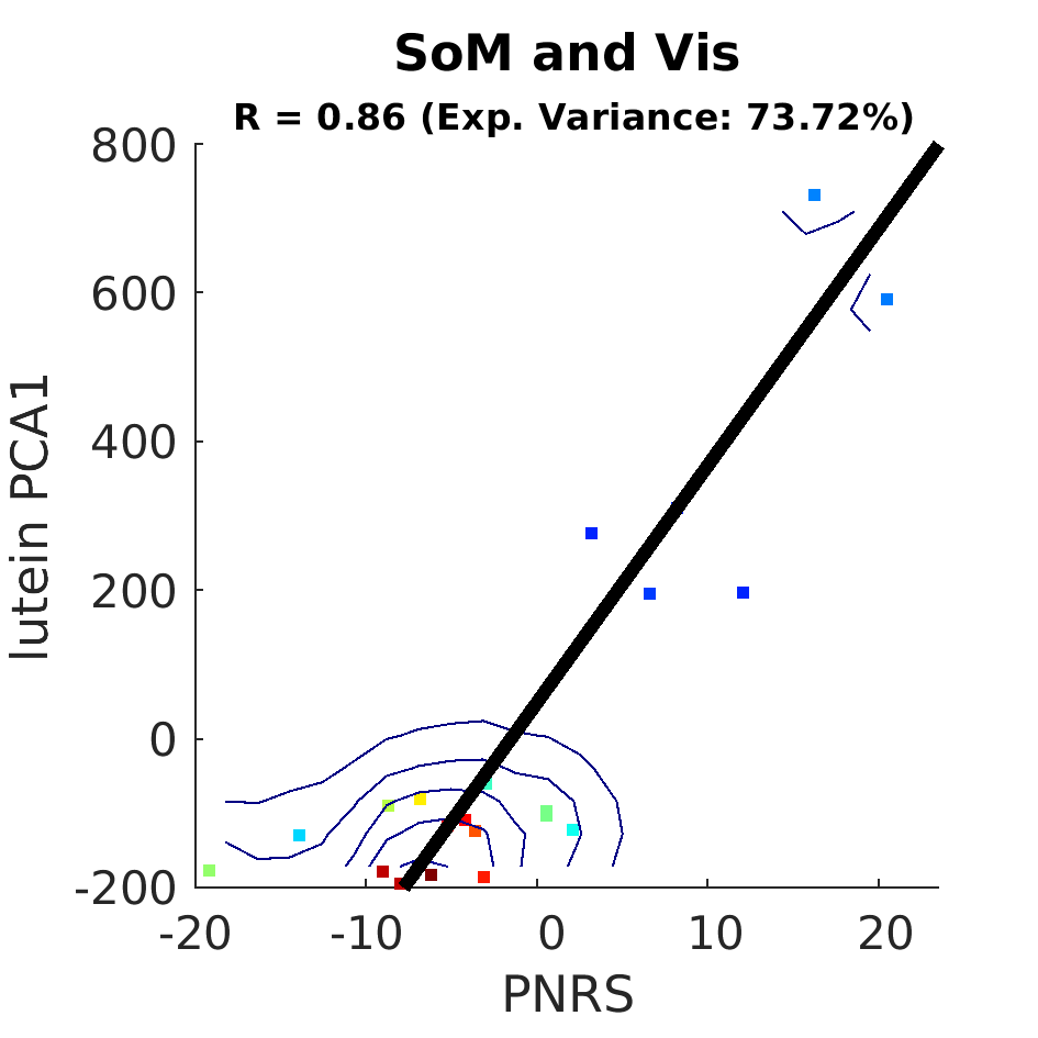 dscatter SoM and Vis