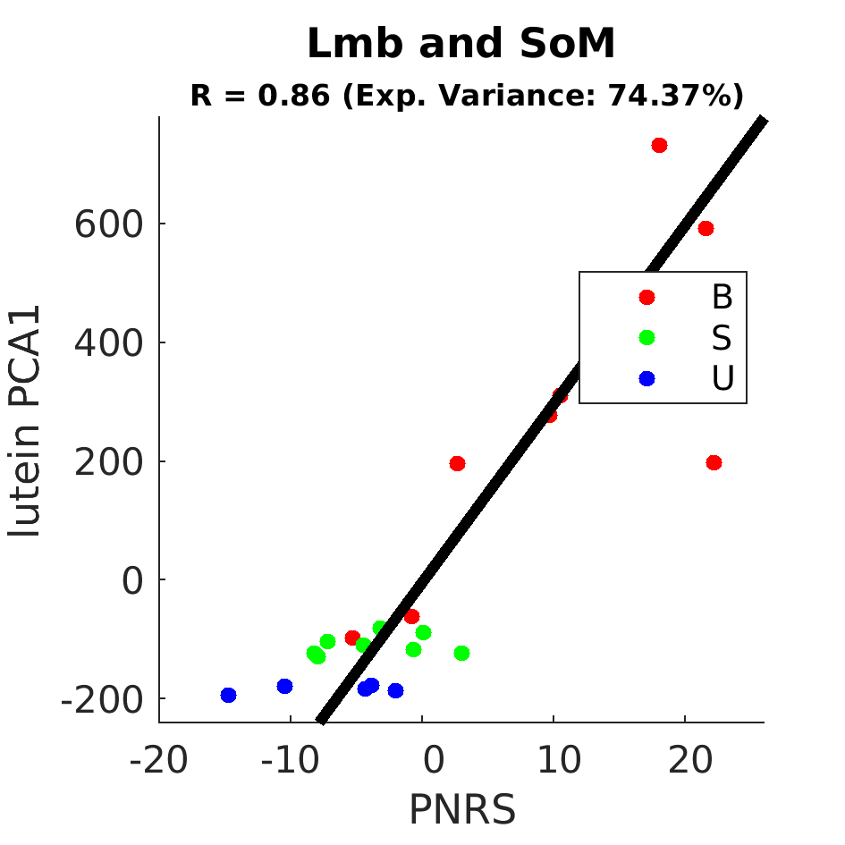 gscatter Lmb and SoM by Diet