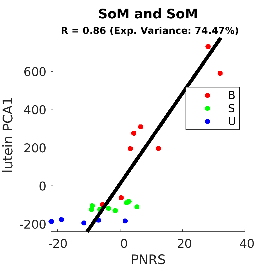 gscatter SoM and SoM by Diet