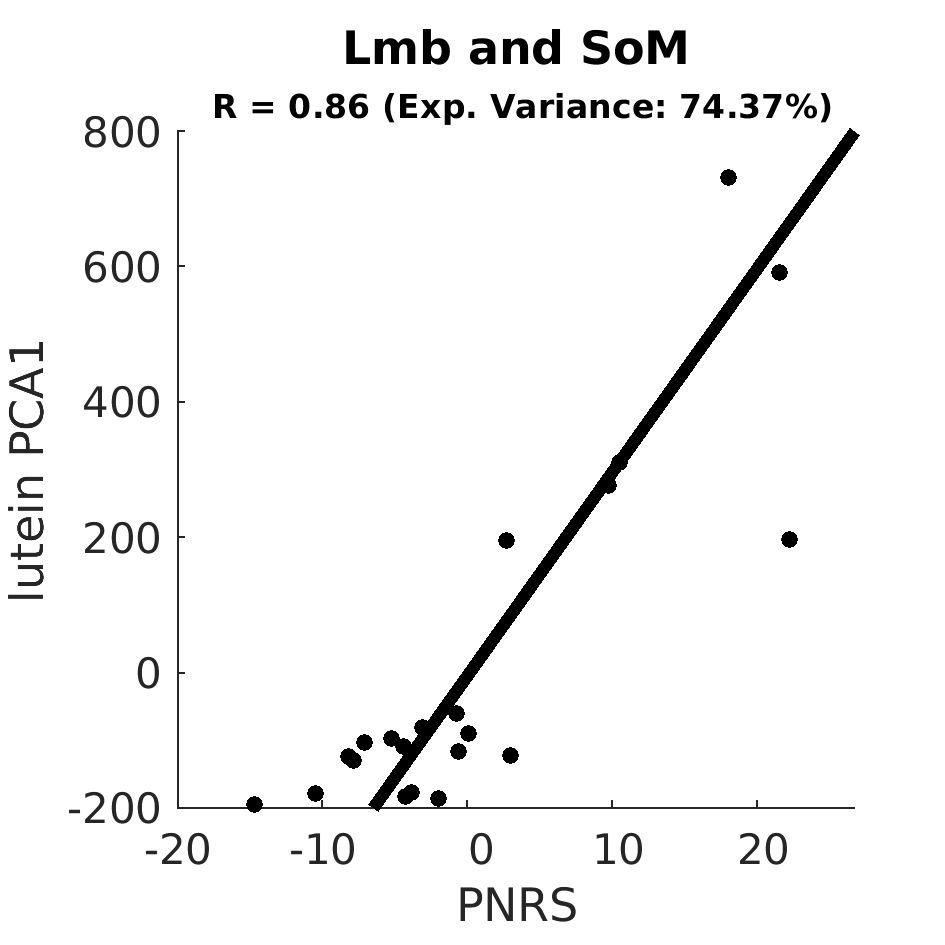 scatter Lmb and SoM