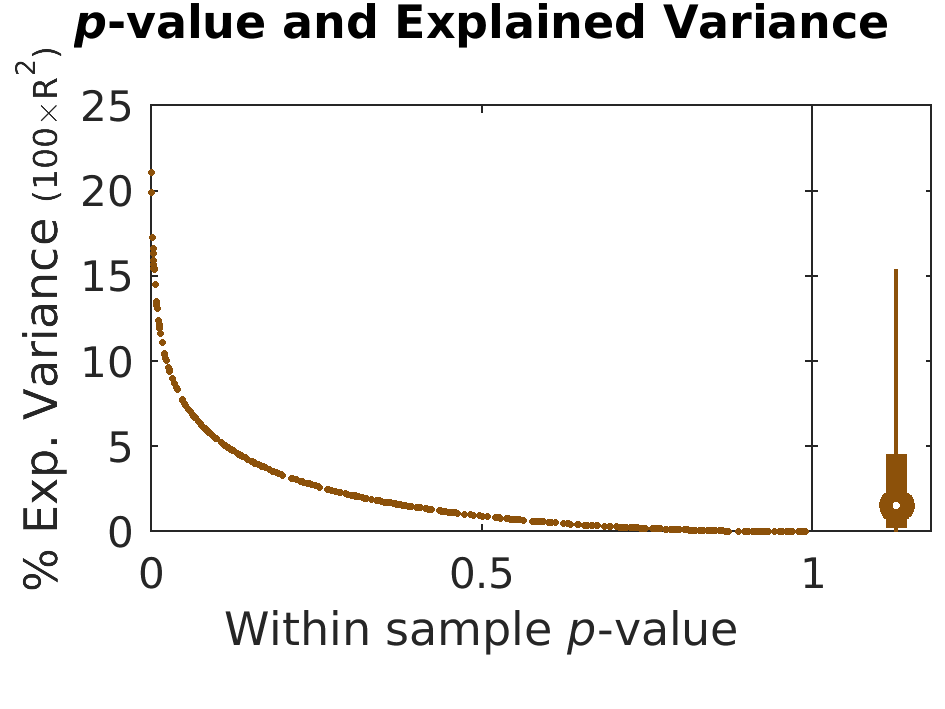 pValue Variance by brainFeature