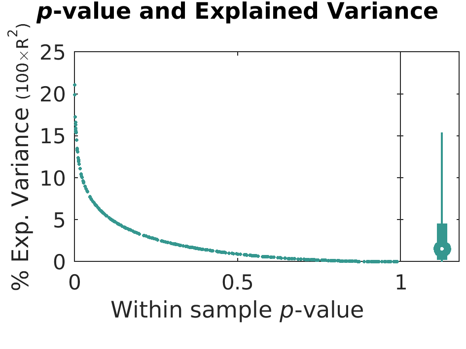pValue Variance by brainFeature