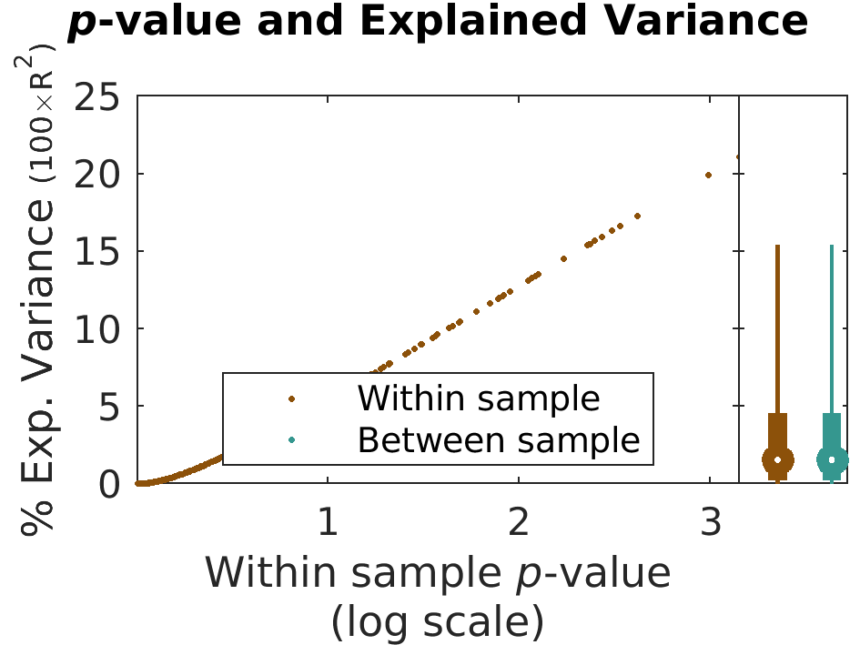 logpValue Variance by brainFeature