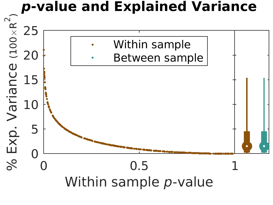 pValue Variance by brainFeature